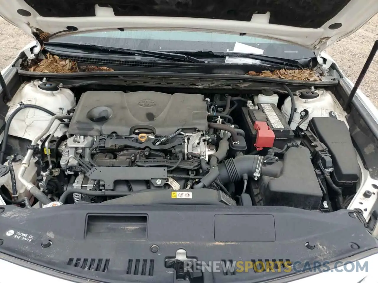 11 Photograph of a damaged car 4T1B11HK0KU210543 TOYOTA CAMRY 2019