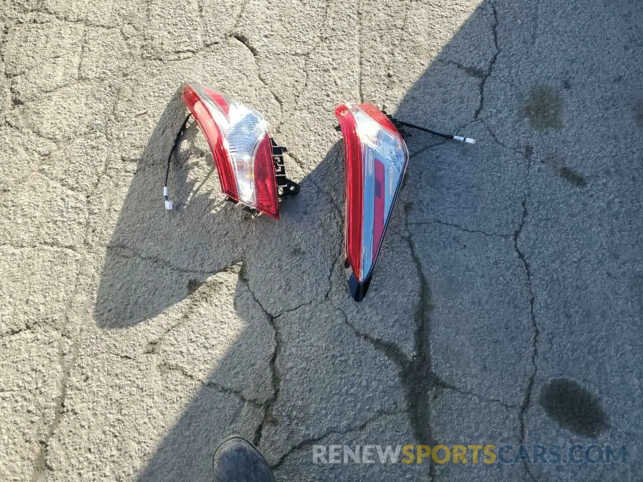 12 Photograph of a damaged car 4T1B11HK0KU219095 TOYOTA CAMRY 2019