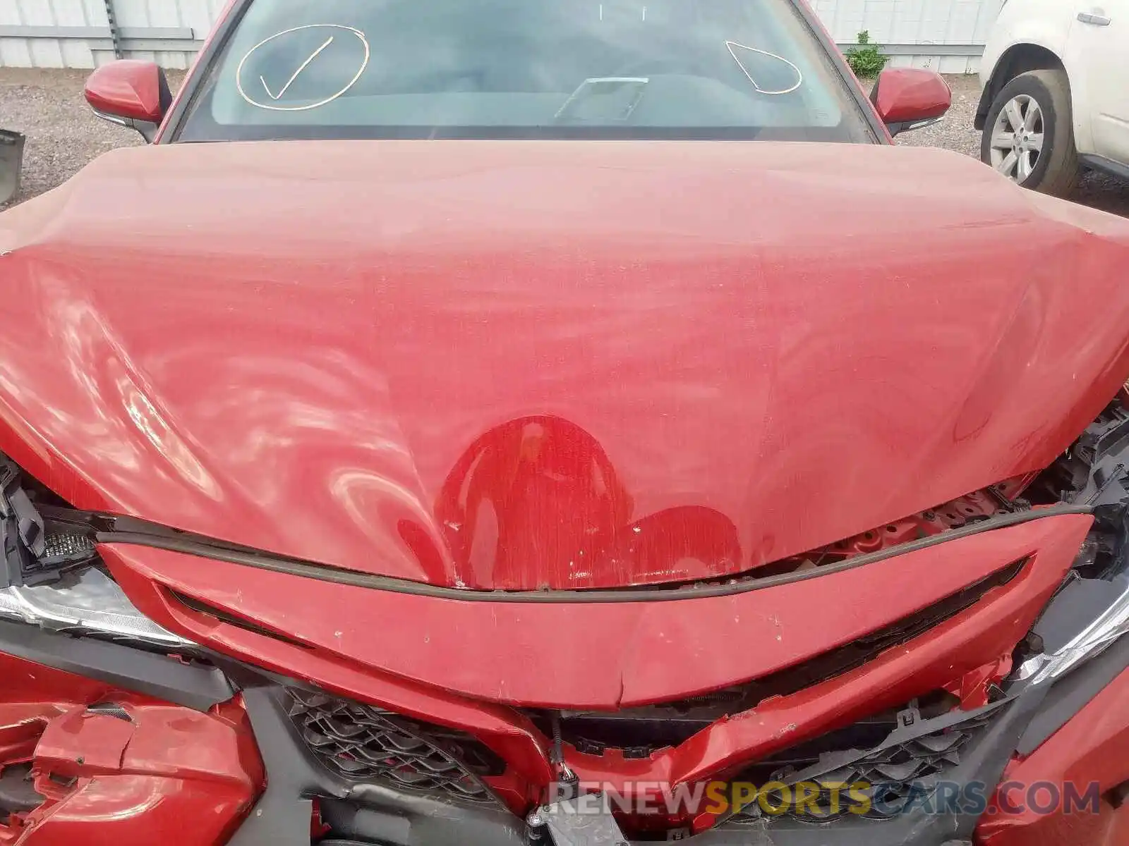 7 Photograph of a damaged car 4T1B11HK0KU241081 TOYOTA CAMRY 2019