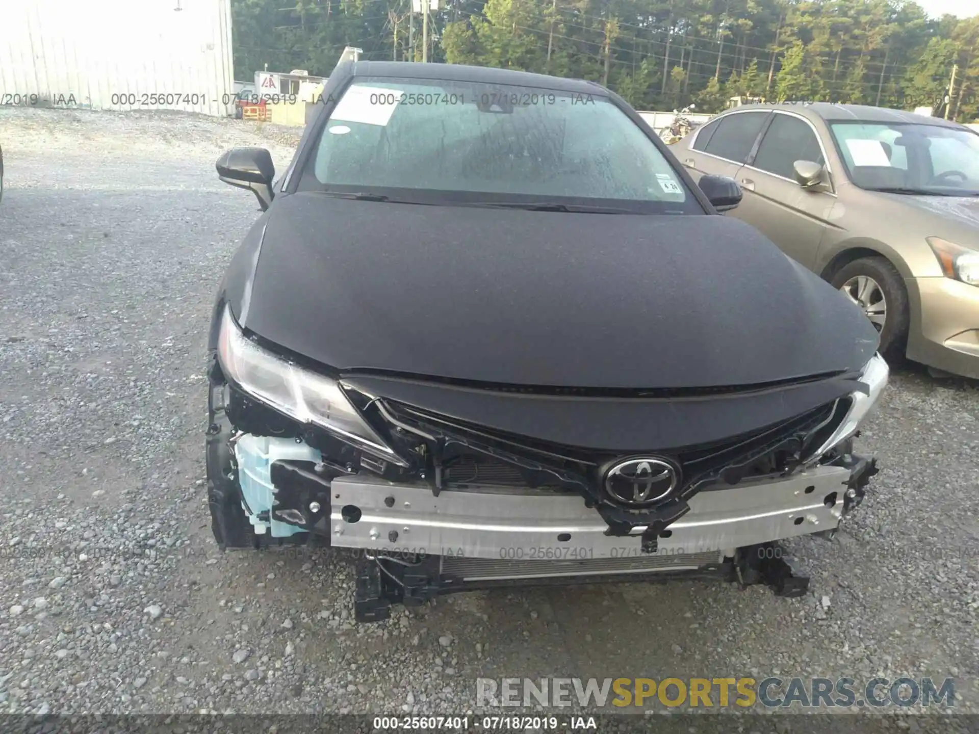 6 Photograph of a damaged car 4T1B11HK0KU245714 TOYOTA CAMRY 2019