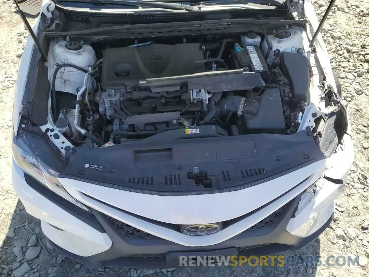 13 Photograph of a damaged car 4T1B11HK0KU247513 TOYOTA CAMRY 2019