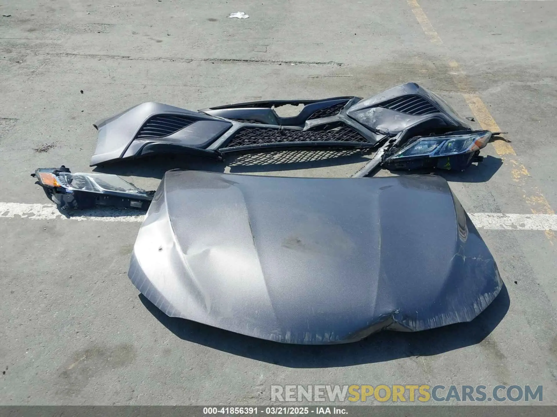 12 Photograph of a damaged car 4T1B11HK0KU271438 TOYOTA CAMRY 2019