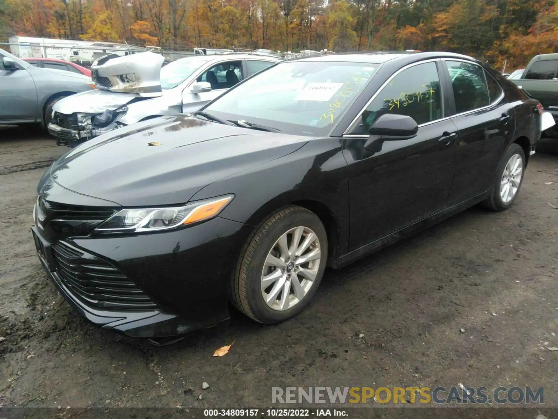 2 Photograph of a damaged car 4T1B11HK0KU289907 TOYOTA CAMRY 2019