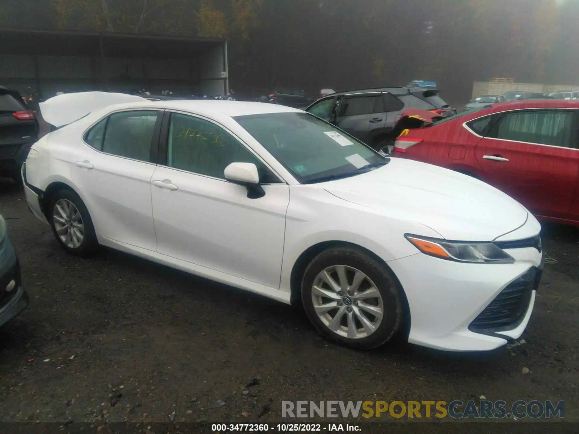 1 Photograph of a damaged car 4T1B11HK0KU709732 TOYOTA CAMRY 2019