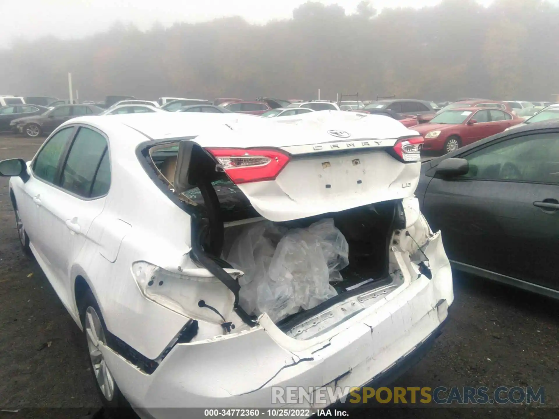 6 Photograph of a damaged car 4T1B11HK0KU709732 TOYOTA CAMRY 2019