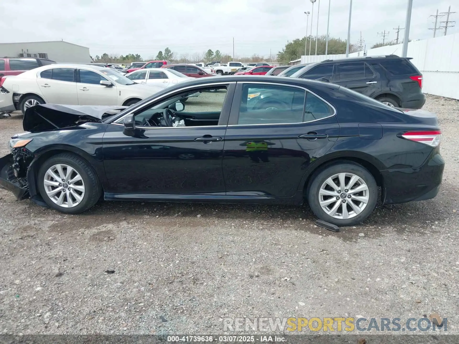 14 Photograph of a damaged car 4T1B11HK0KU743637 TOYOTA CAMRY 2019