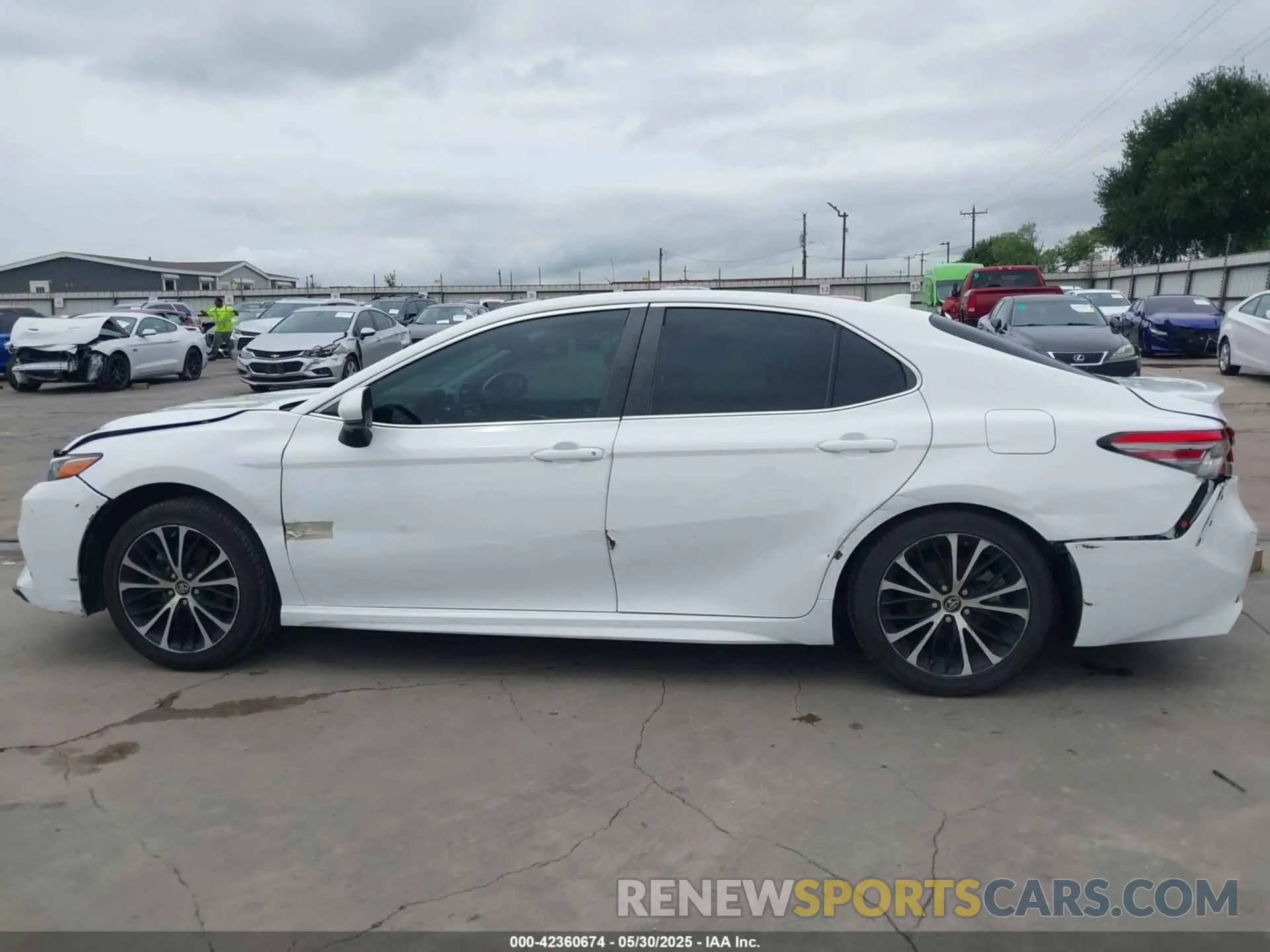 14 Photograph of a damaged car 4T1B11HK0KU775035 TOYOTA CAMRY 2019