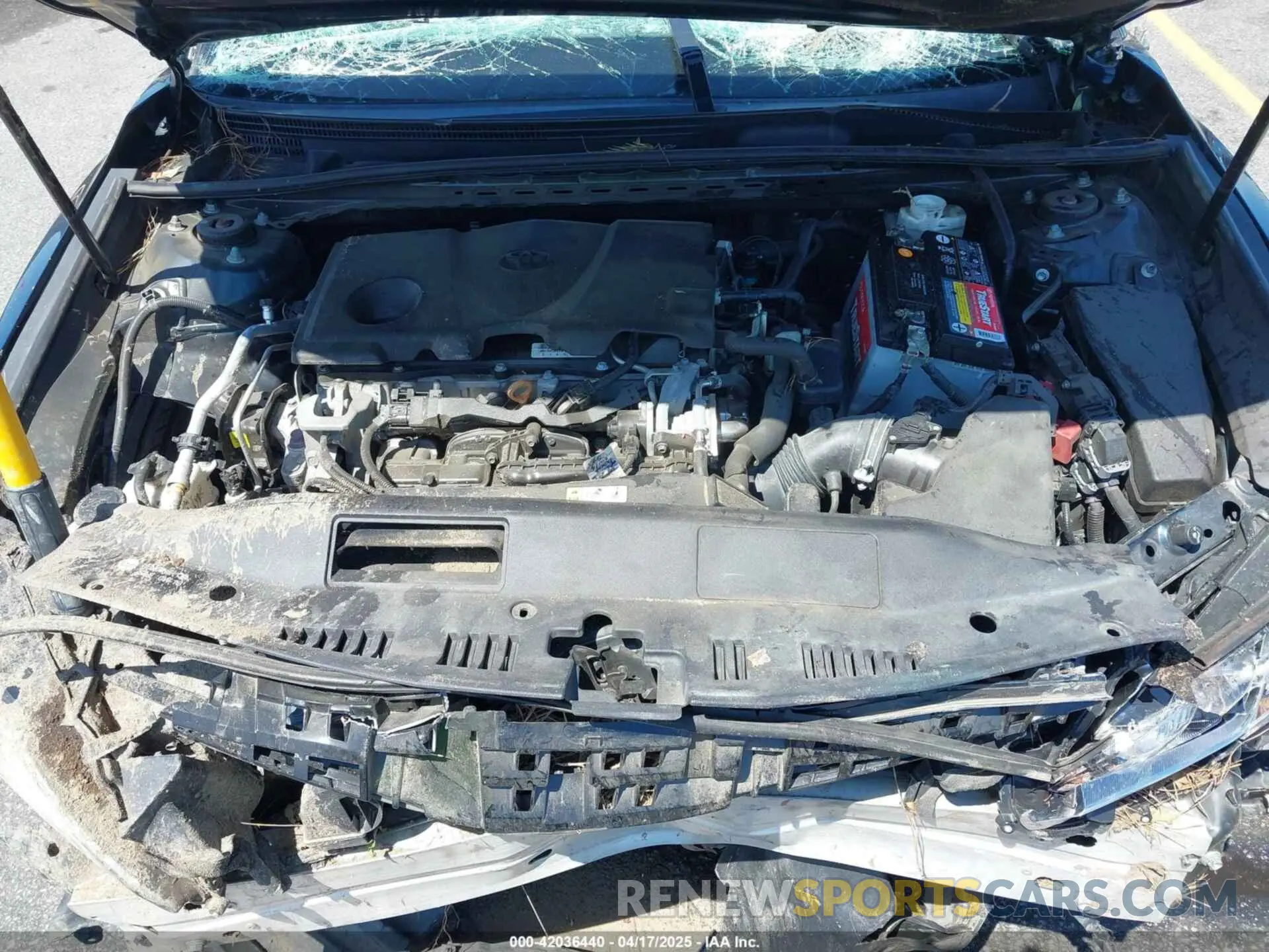 10 Photograph of a damaged car 4T1B11HK0KU790070 TOYOTA CAMRY 2019