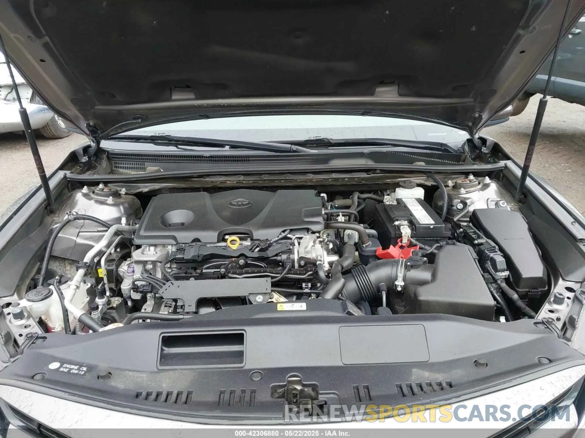 10 Photograph of a damaged car 4T1B11HK0KU808082 TOYOTA CAMRY 2019