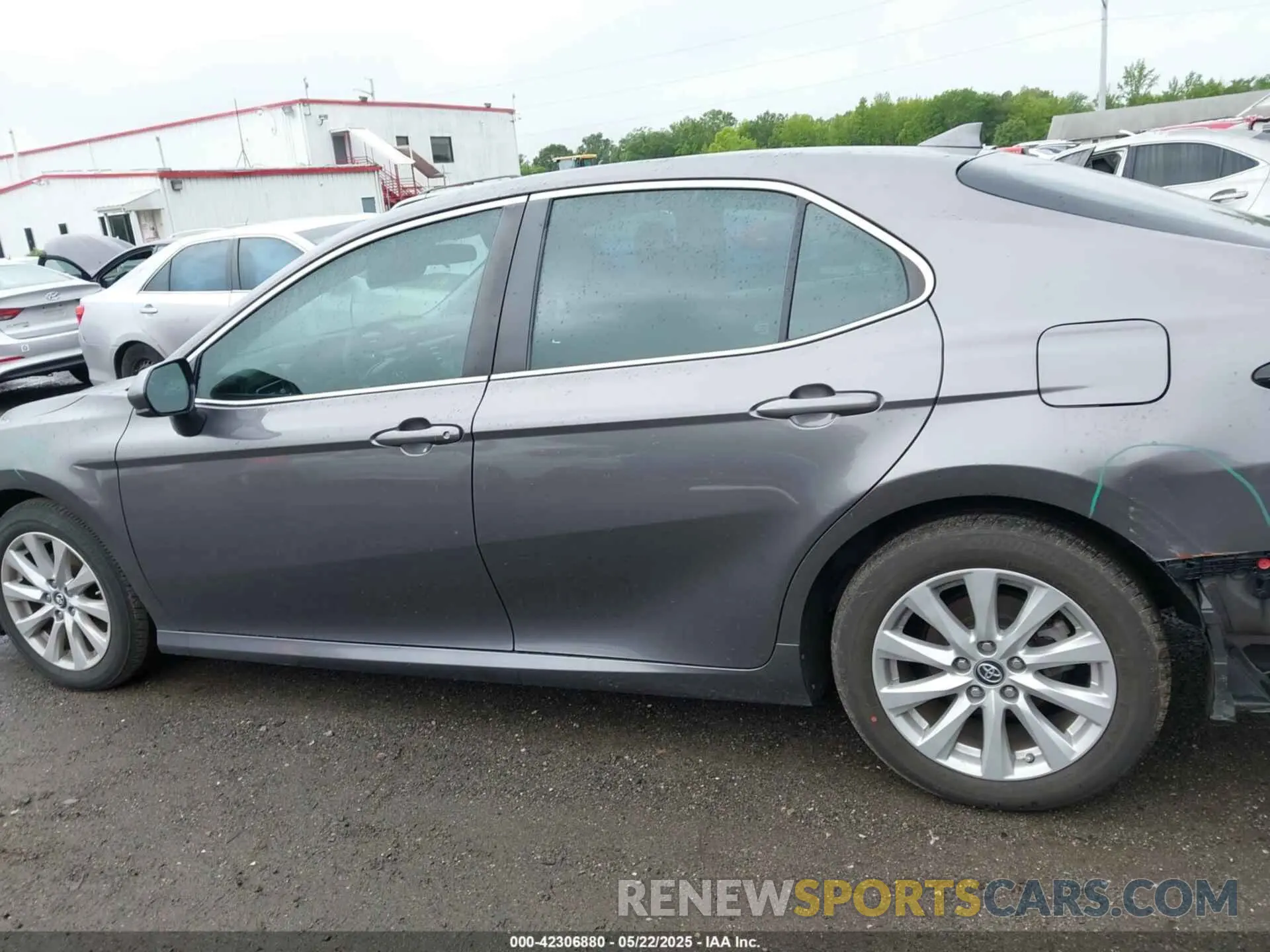14 Photograph of a damaged car 4T1B11HK0KU808082 TOYOTA CAMRY 2019