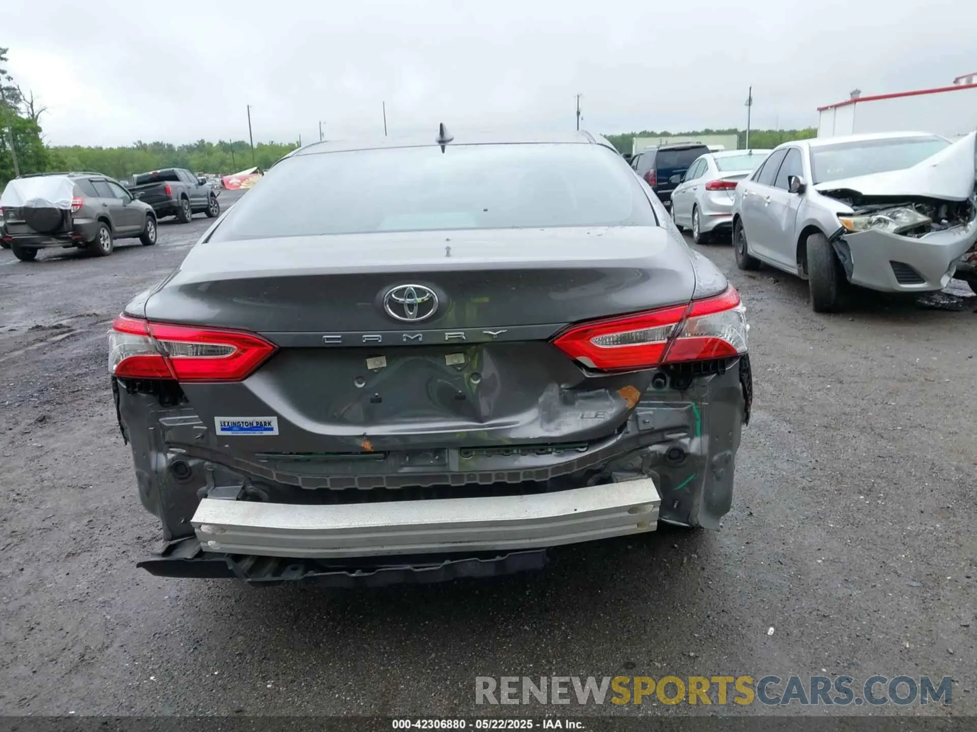 16 Photograph of a damaged car 4T1B11HK0KU808082 TOYOTA CAMRY 2019
