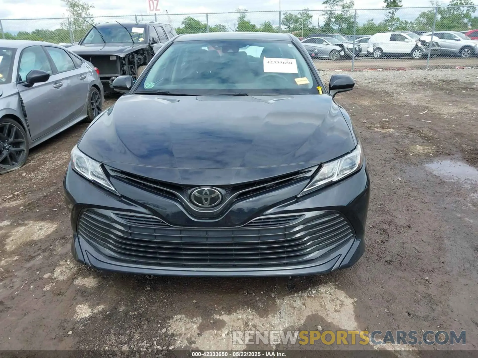 12 Photograph of a damaged car 4T1B11HK0KU821995 TOYOTA CAMRY 2019