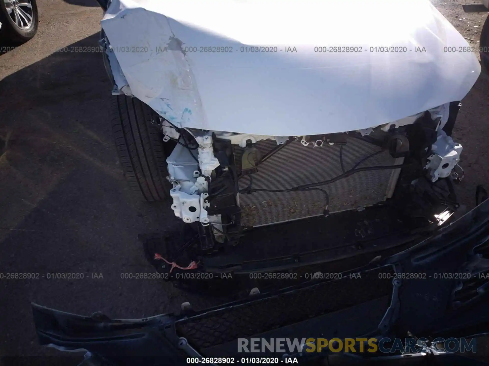 6 Photograph of a damaged car 4T1B11HK0KU828140 TOYOTA CAMRY 2019