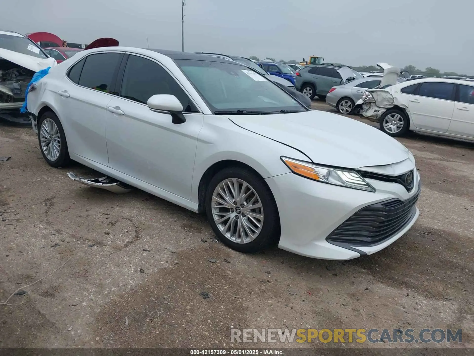 1 Photograph of a damaged car 4T1B11HK0KU841129 TOYOTA CAMRY 2019