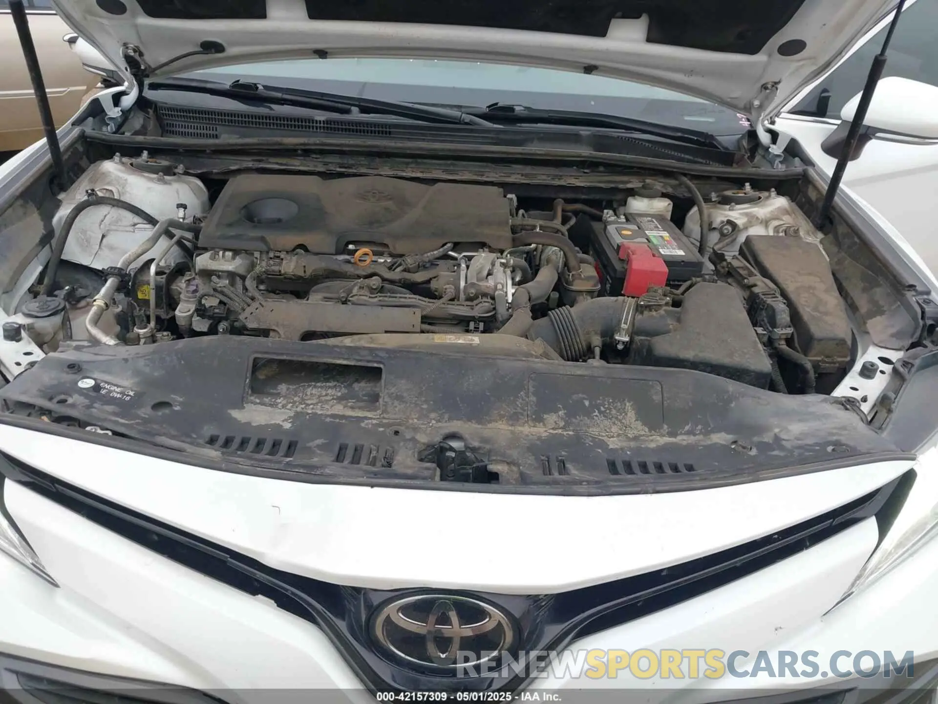 10 Photograph of a damaged car 4T1B11HK0KU841129 TOYOTA CAMRY 2019