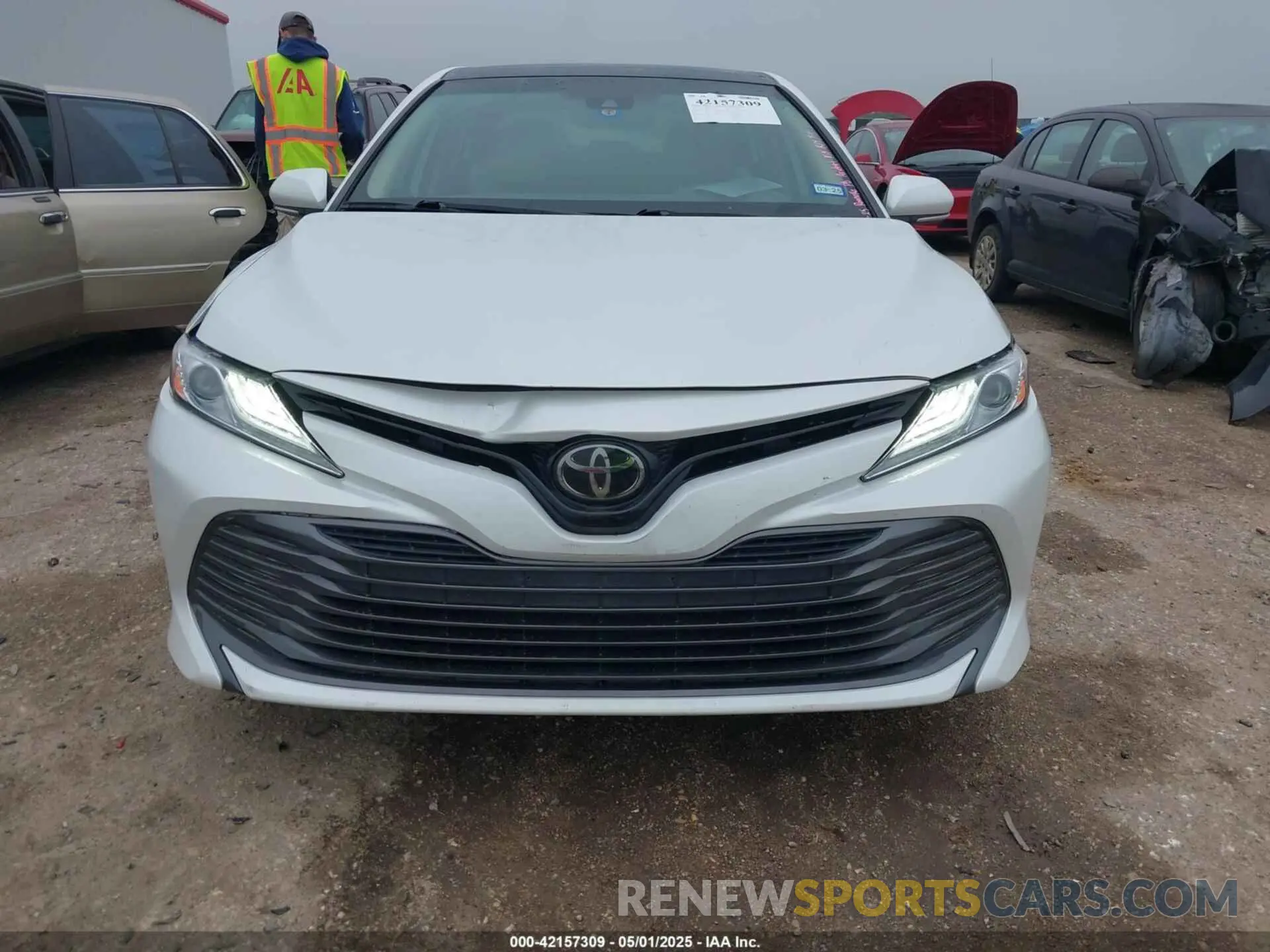12 Photograph of a damaged car 4T1B11HK0KU841129 TOYOTA CAMRY 2019
