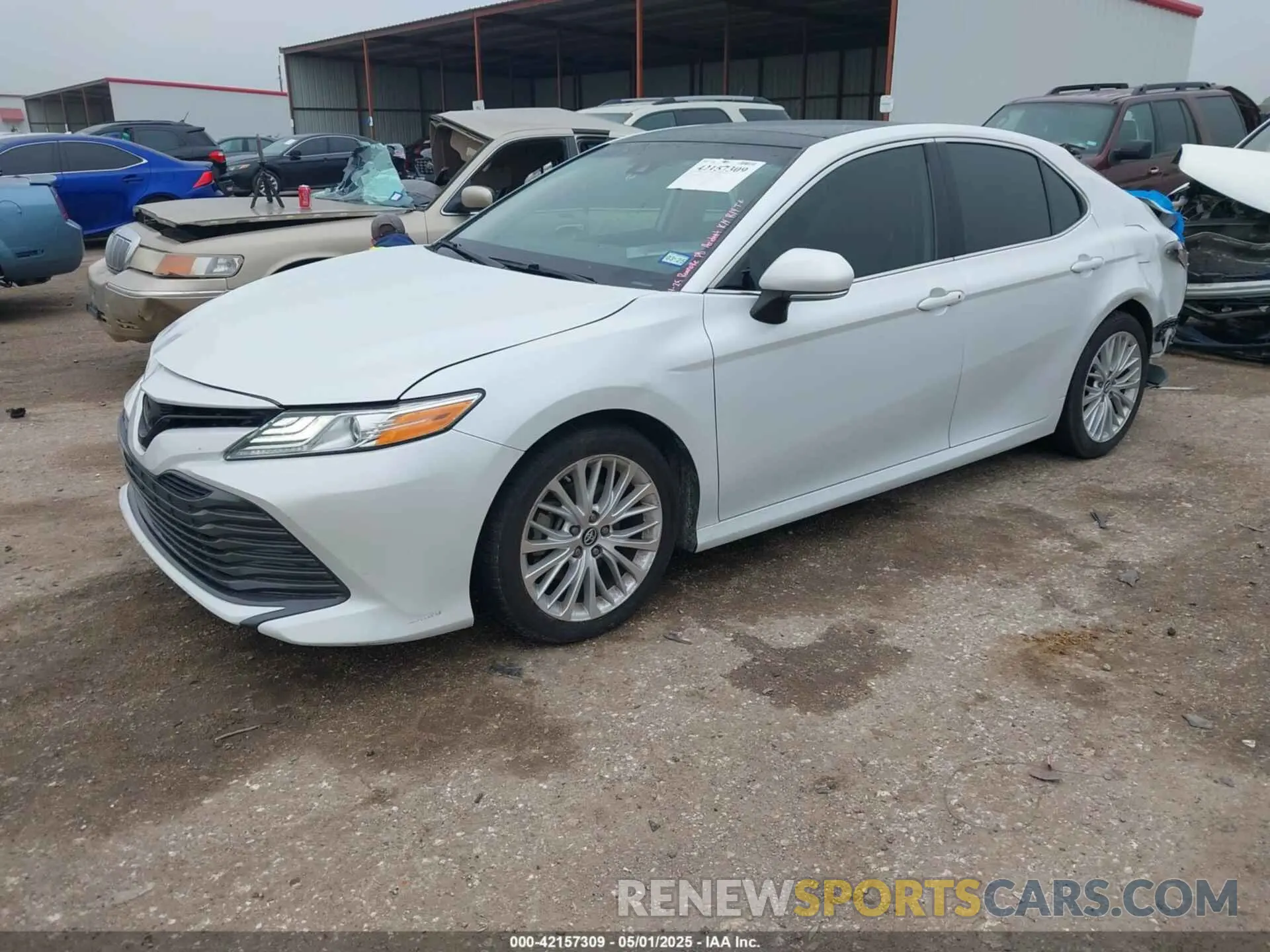 2 Photograph of a damaged car 4T1B11HK0KU841129 TOYOTA CAMRY 2019