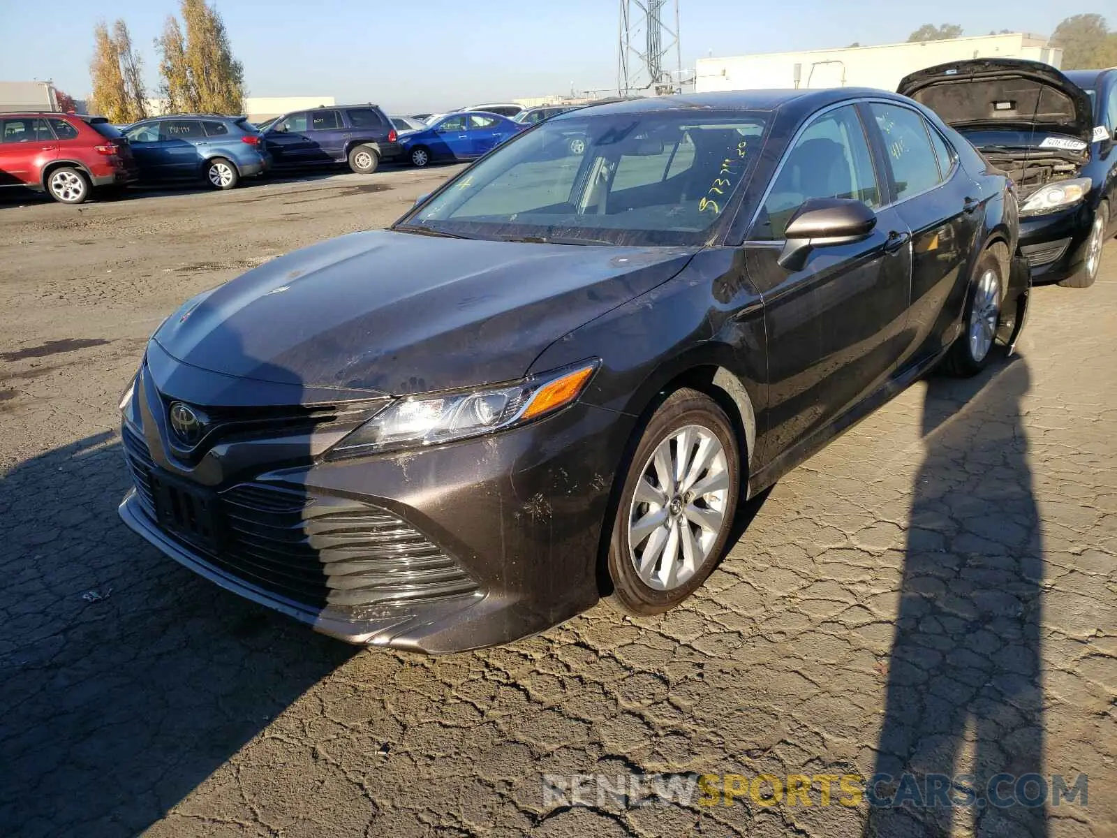 2 Photograph of a damaged car 4T1B11HK0KU856195 TOYOTA CAMRY 2019