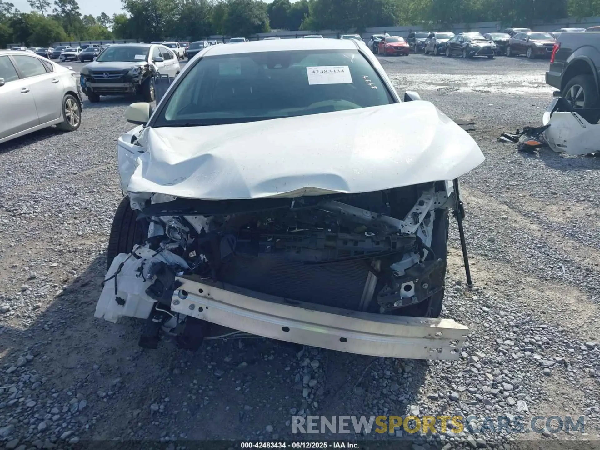 13 Photograph of a damaged car 4T1B11HK1KU197320 TOYOTA CAMRY 2019