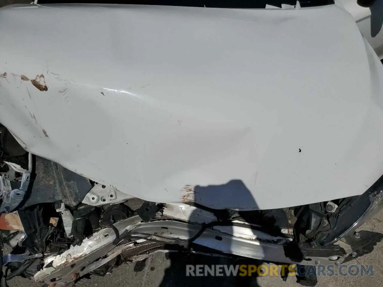 13 Photograph of a damaged car 4T1B11HK1KU247276 TOYOTA CAMRY 2019