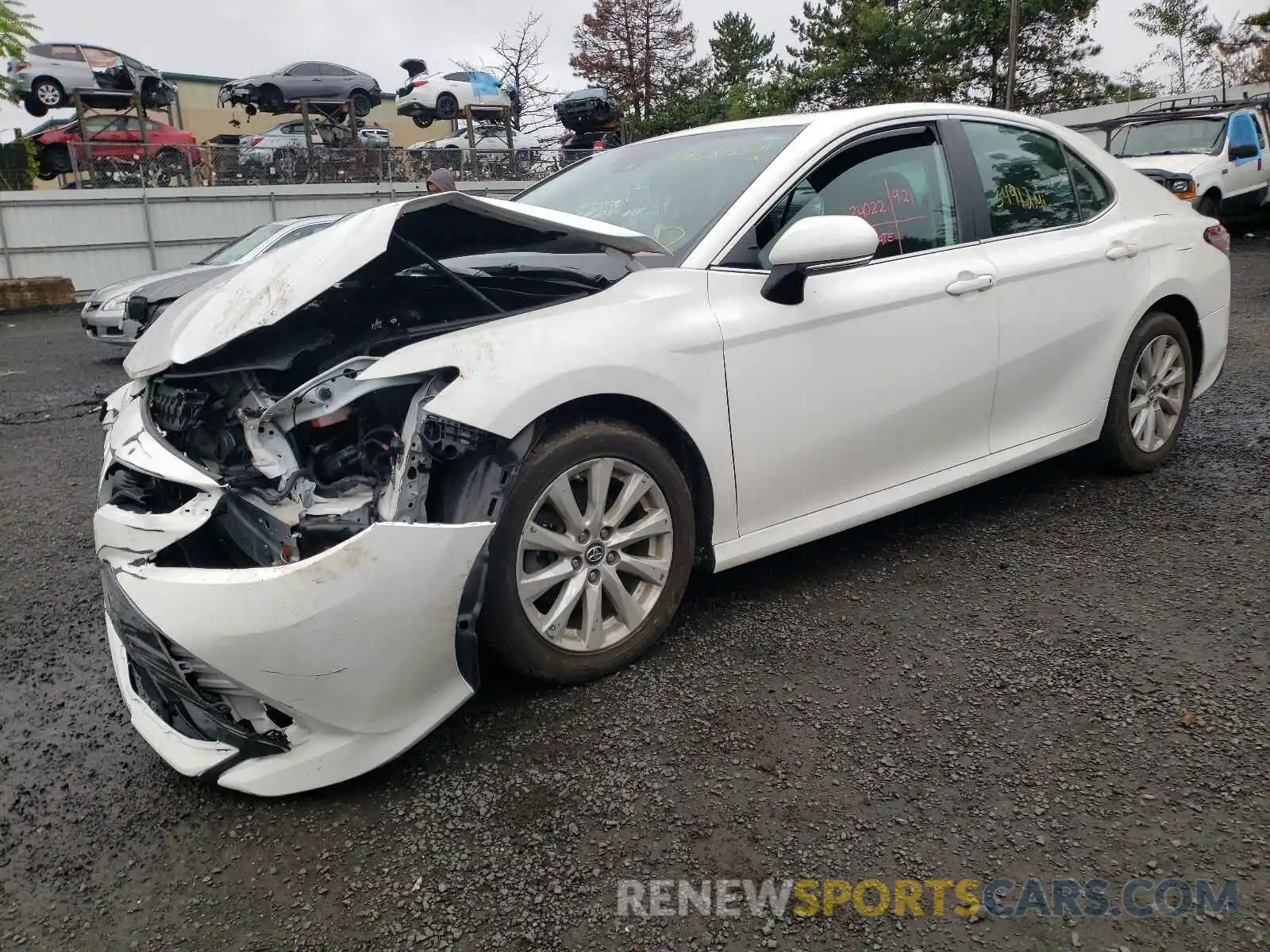 2 Photograph of a damaged car 4T1B11HK1KU707116 TOYOTA CAMRY 2019