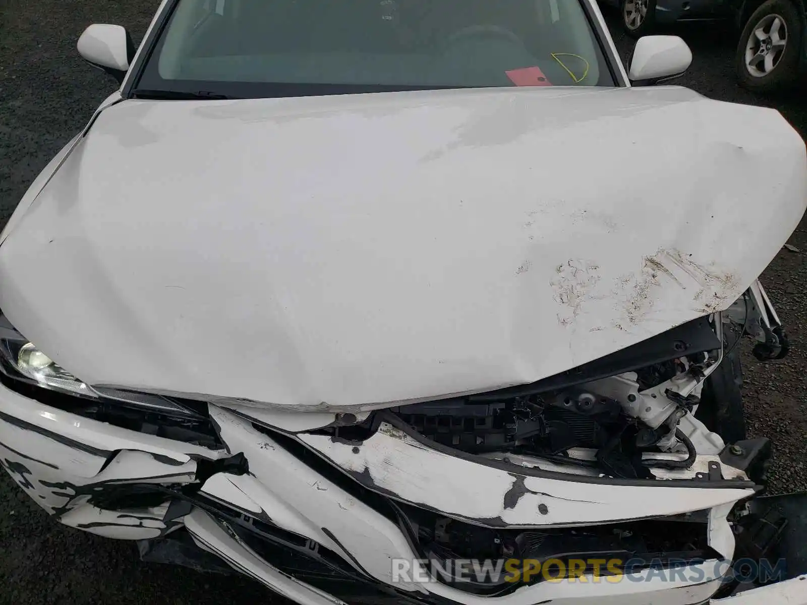 7 Photograph of a damaged car 4T1B11HK1KU707116 TOYOTA CAMRY 2019