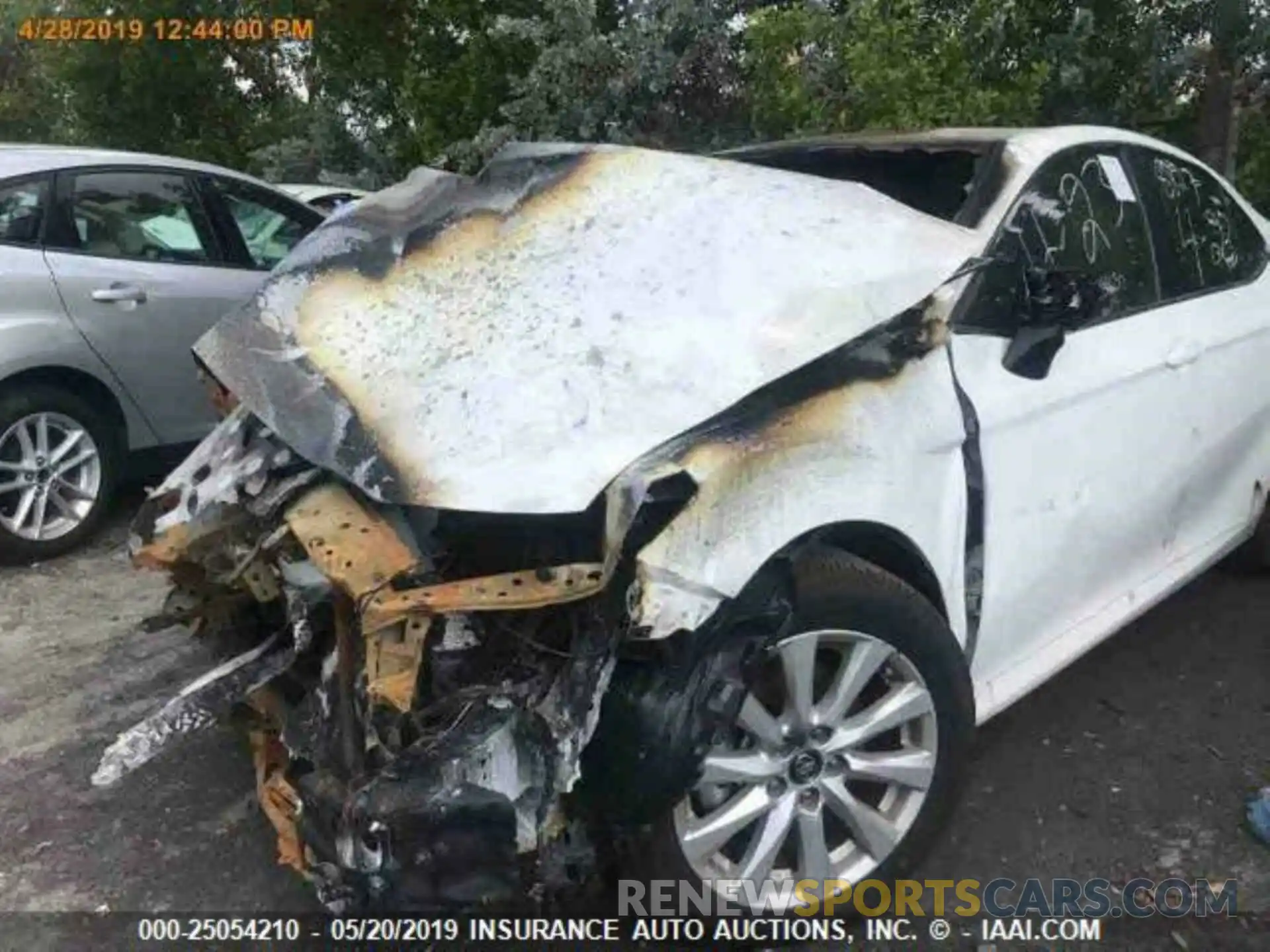 2 Photograph of a damaged car 4T1B11HK1KU718827 TOYOTA CAMRY 2019