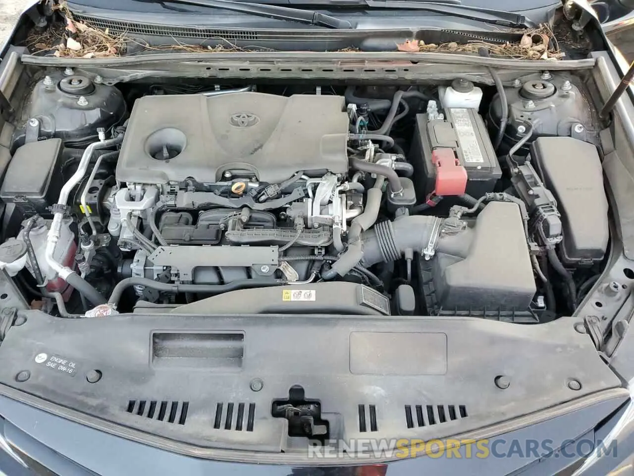13 Photograph of a damaged car 4T1B11HK1KU728774 TOYOTA CAMRY 2019