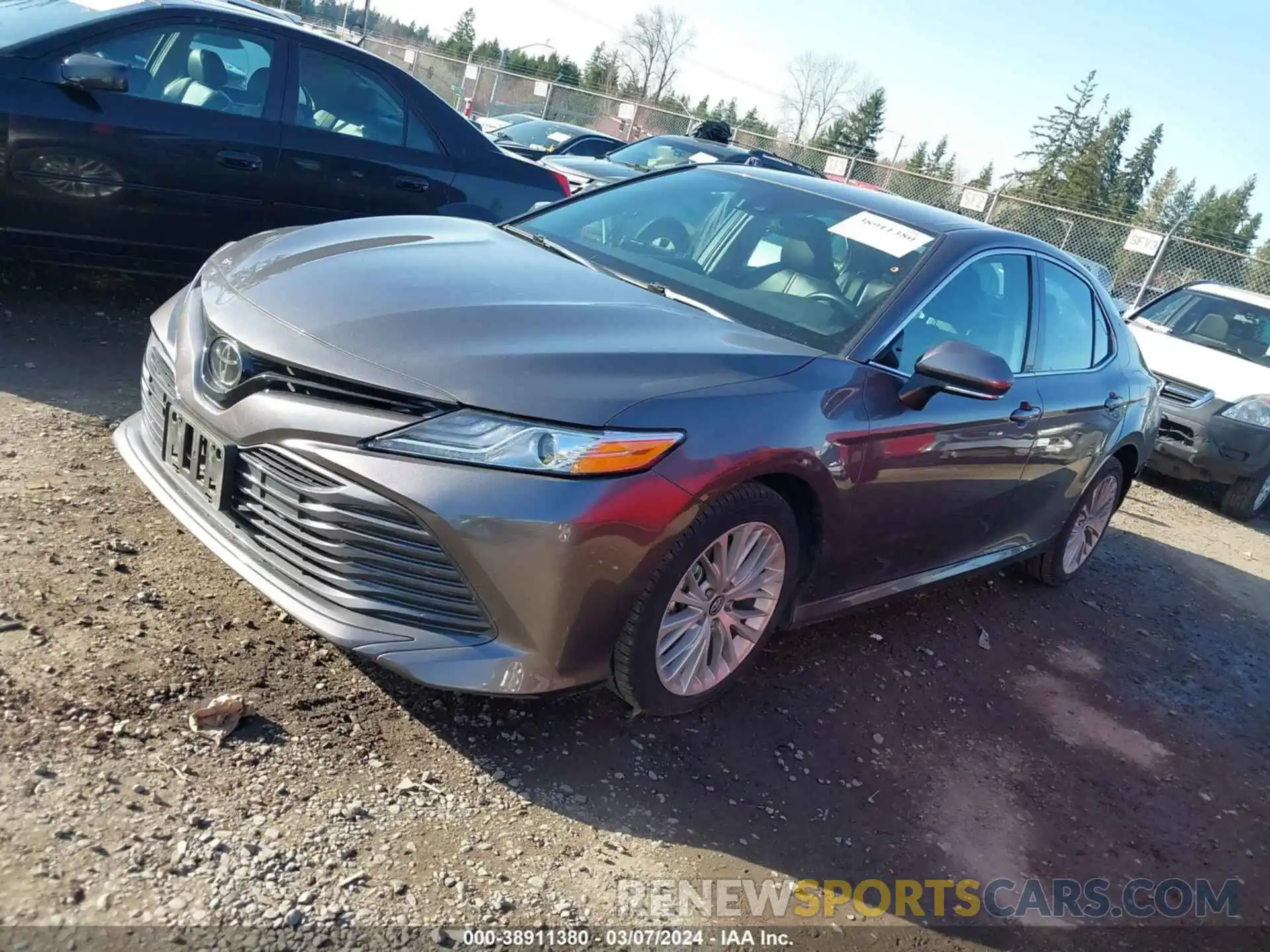 2 Photograph of a damaged car 4T1B11HK1KU746773 TOYOTA CAMRY 2019