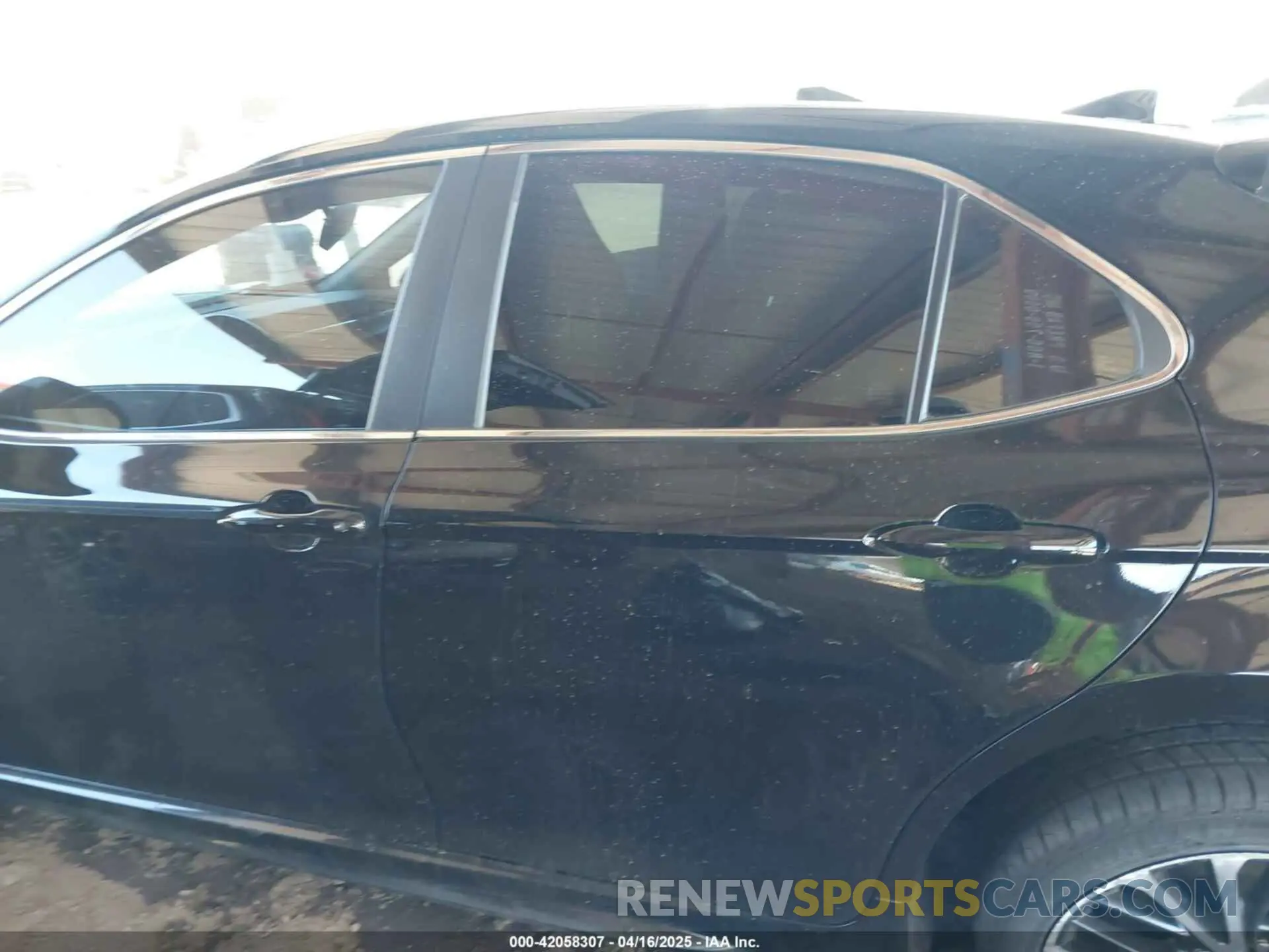 13 Photograph of a damaged car 4T1B11HK1KU776971 TOYOTA CAMRY 2019