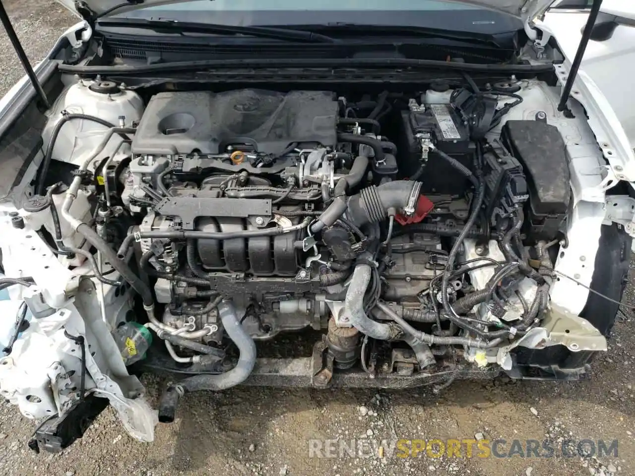 7 Photograph of a damaged car 4T1B11HK1KU780616 TOYOTA CAMRY 2019