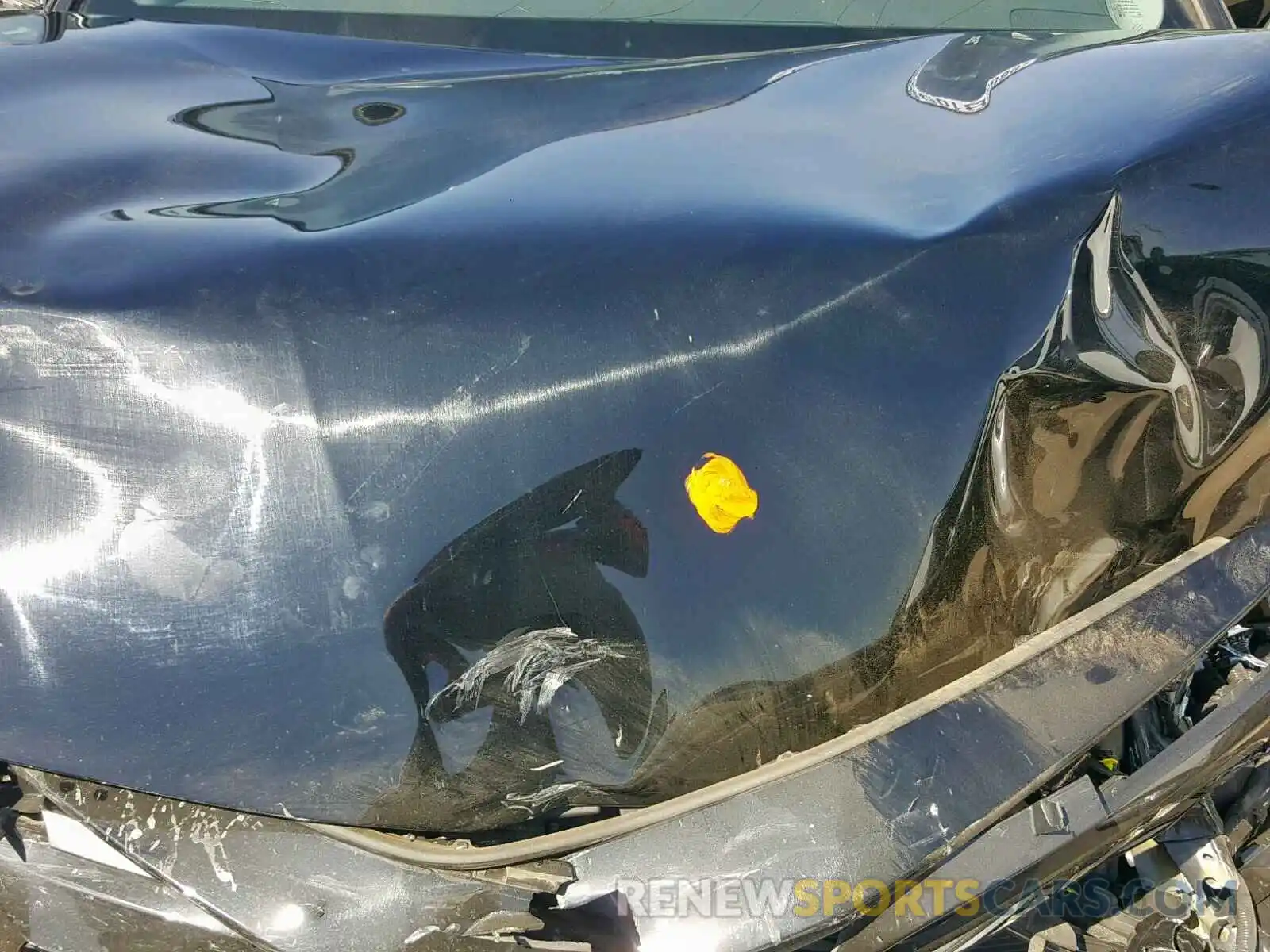 7 Photograph of a damaged car 4T1B11HK1KU782690 TOYOTA CAMRY 2019