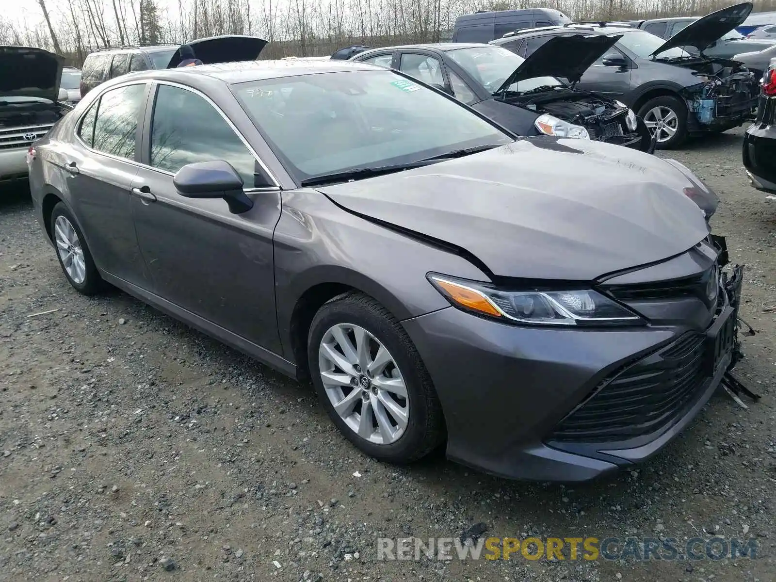 1 Photograph of a damaged car 4T1B11HK1KU804316 TOYOTA CAMRY 2019