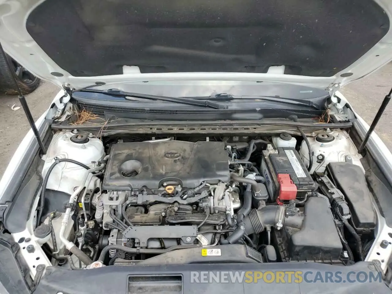 11 Photograph of a damaged car 4T1B11HK1KU810083 TOYOTA CAMRY 2019