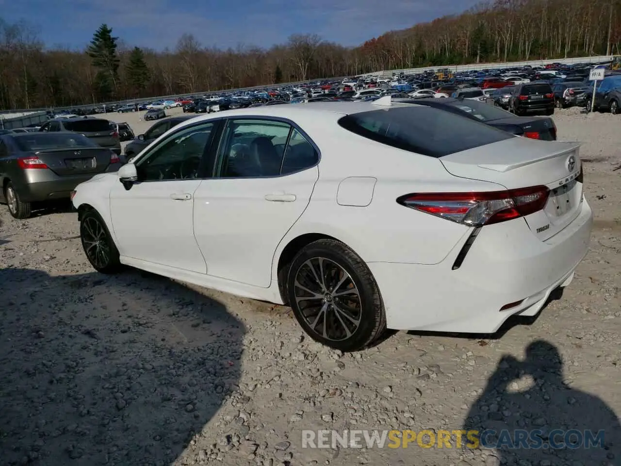 2 Photograph of a damaged car 4T1B11HK1KU810309 TOYOTA CAMRY 2019