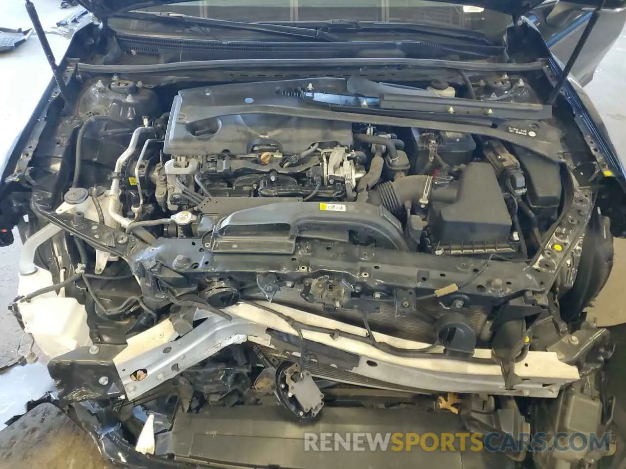 11 Photograph of a damaged car 4T1B11HK1KU846873 TOYOTA CAMRY 2019