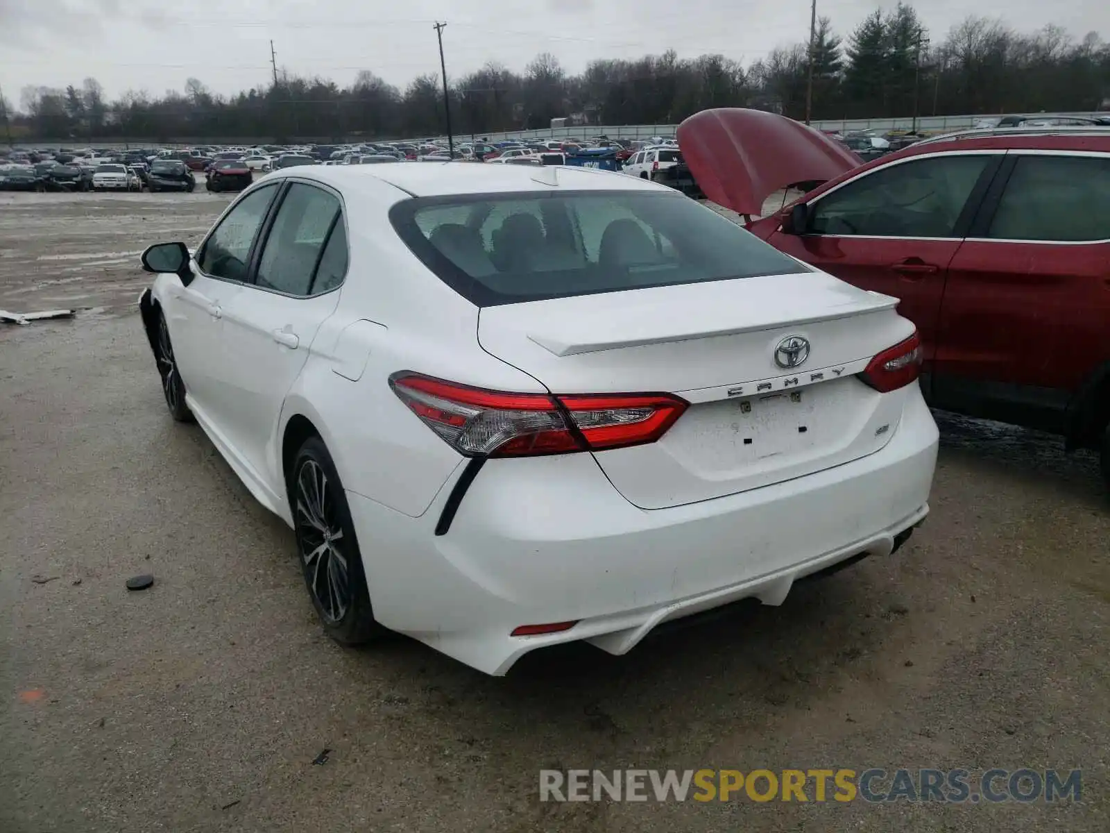 3 Photograph of a damaged car 4T1B11HK2KU169736 TOYOTA CAMRY 2019