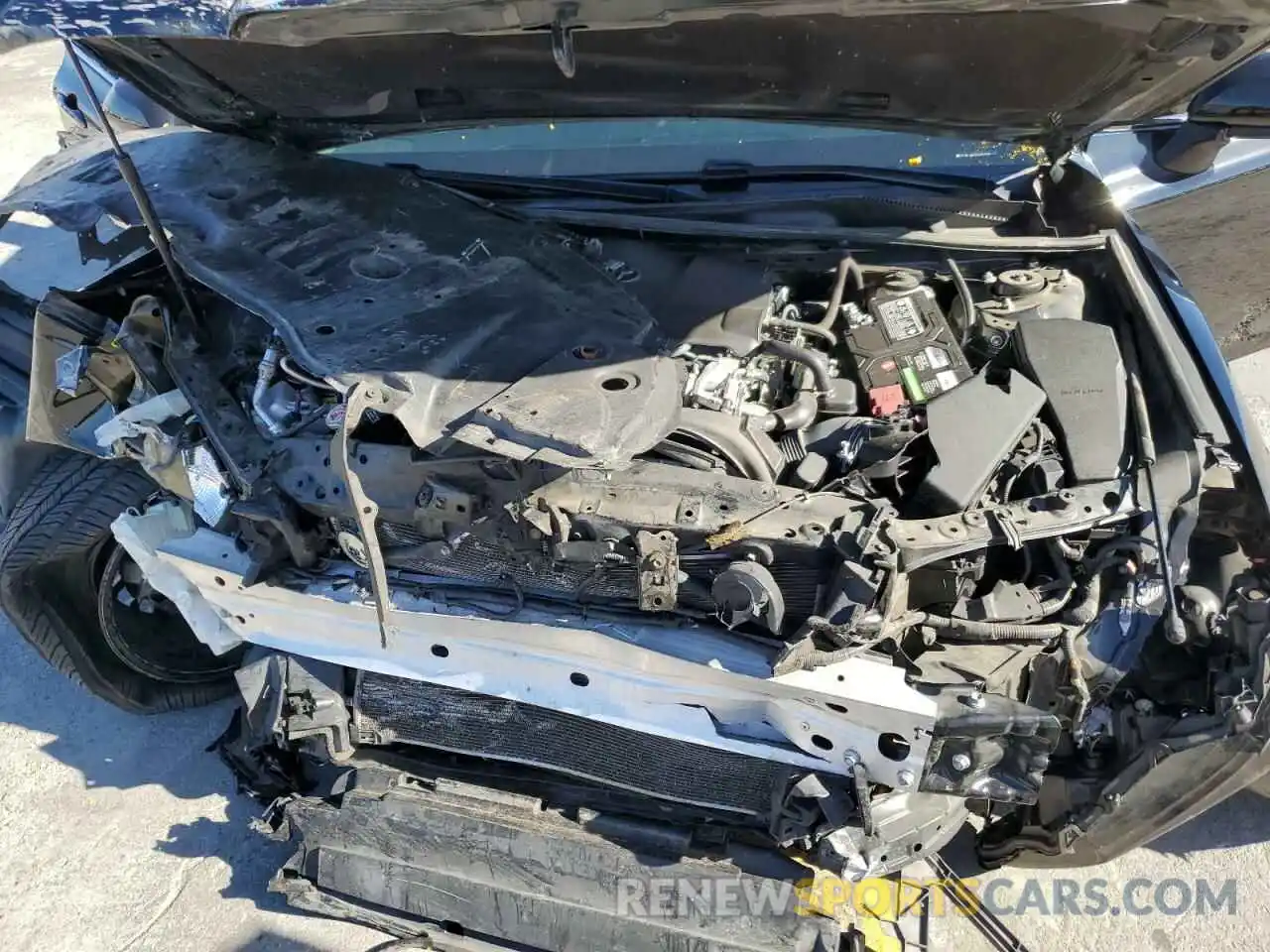 7 Photograph of a damaged car 4T1B11HK2KU204484 TOYOTA CAMRY 2019