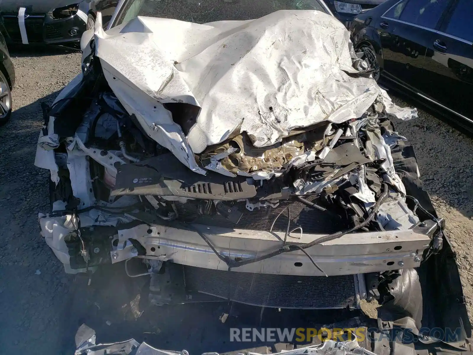 9 Photograph of a damaged car 4T1B11HK2KU228588 TOYOTA CAMRY 2019