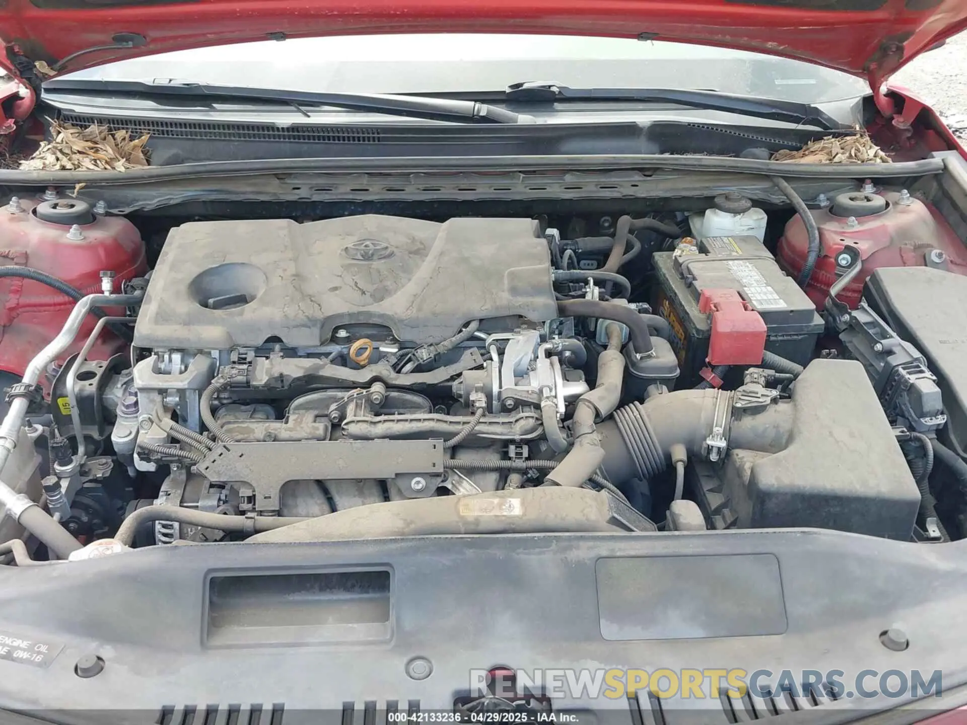 10 Photograph of a damaged car 4T1B11HK2KU258111 TOYOTA CAMRY 2019