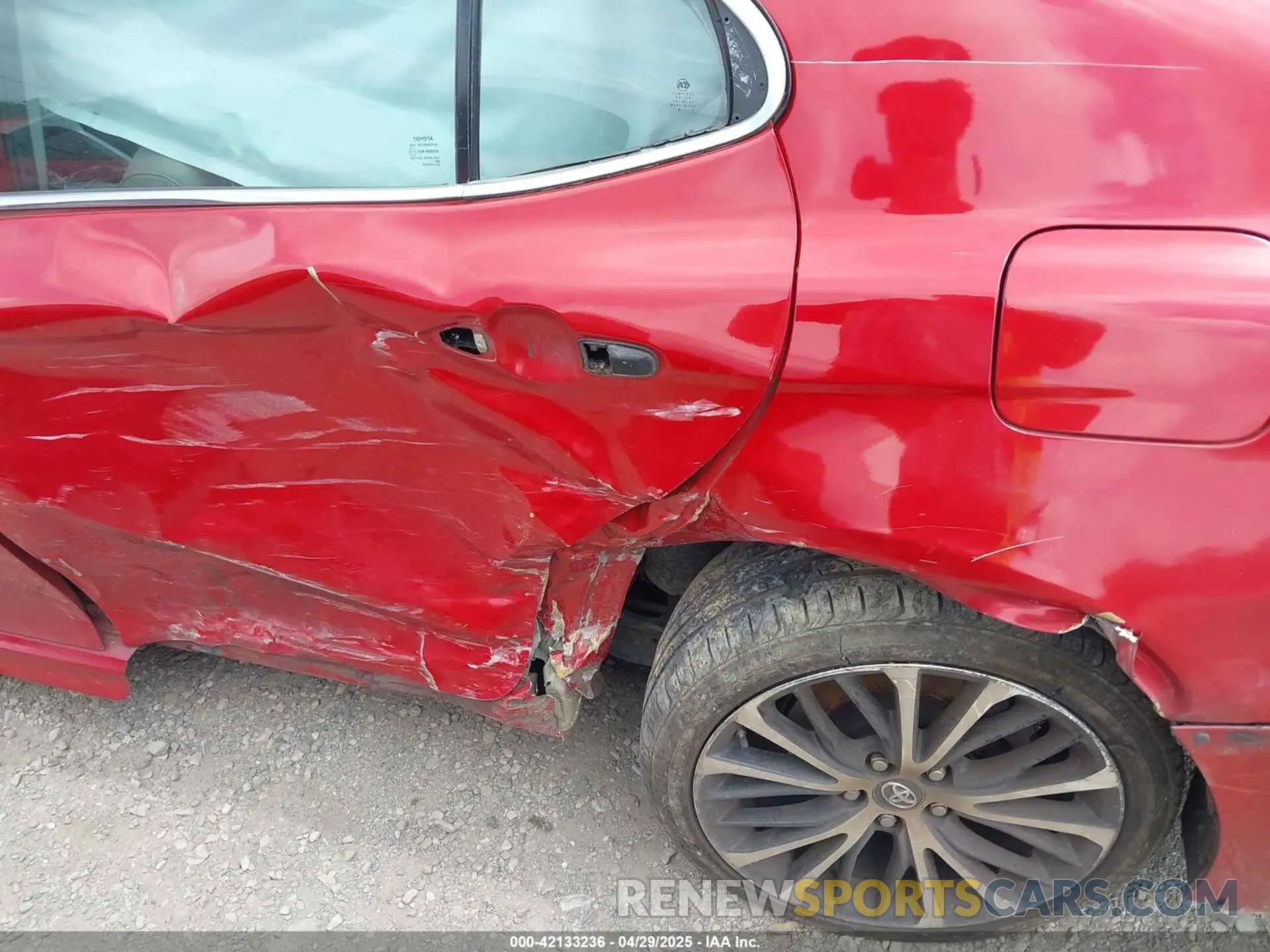 6 Photograph of a damaged car 4T1B11HK2KU258111 TOYOTA CAMRY 2019