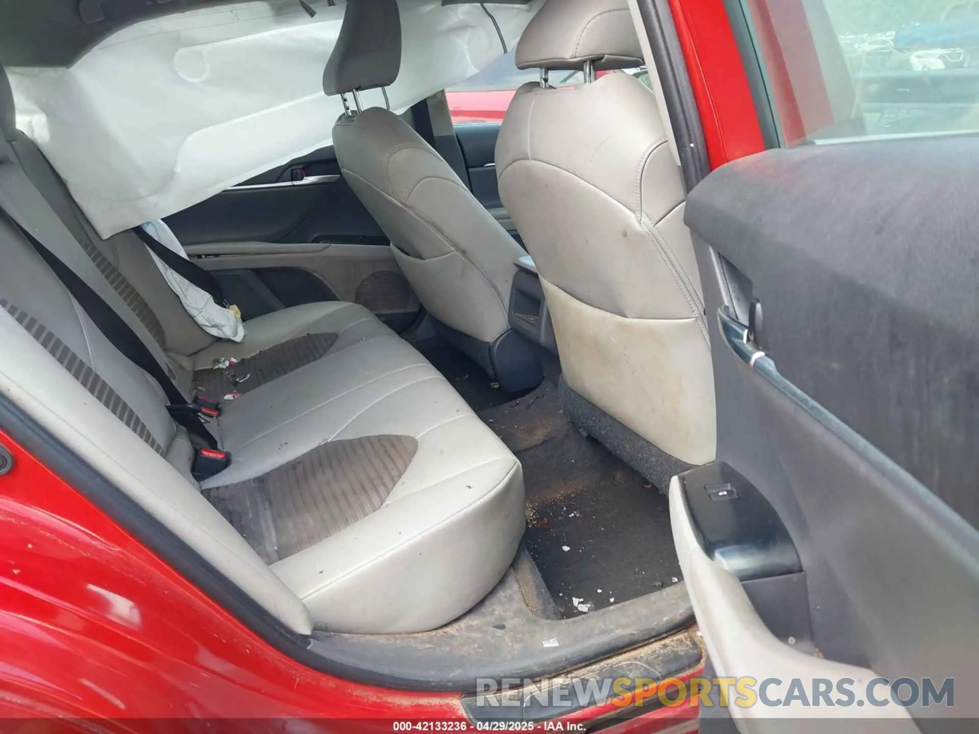 8 Photograph of a damaged car 4T1B11HK2KU258111 TOYOTA CAMRY 2019