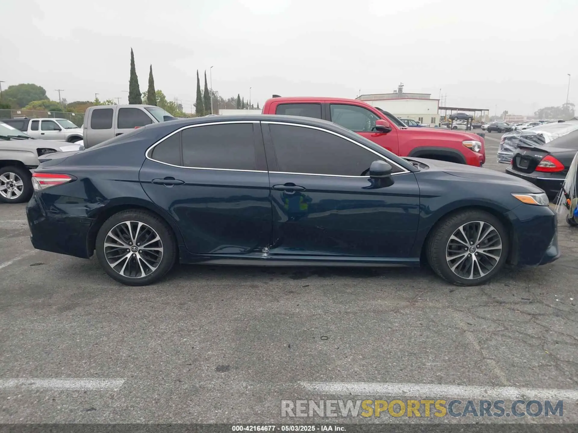 13 Photograph of a damaged car 4T1B11HK2KU263082 TOYOTA CAMRY 2019