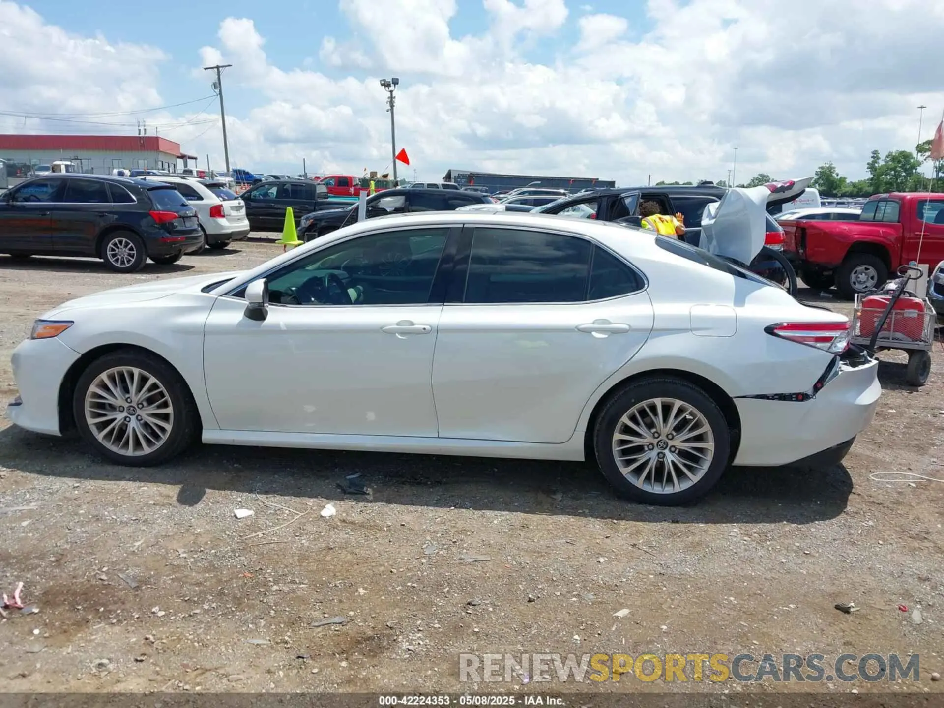 14 Photograph of a damaged car 4T1B11HK2KU724975 TOYOTA CAMRY 2019