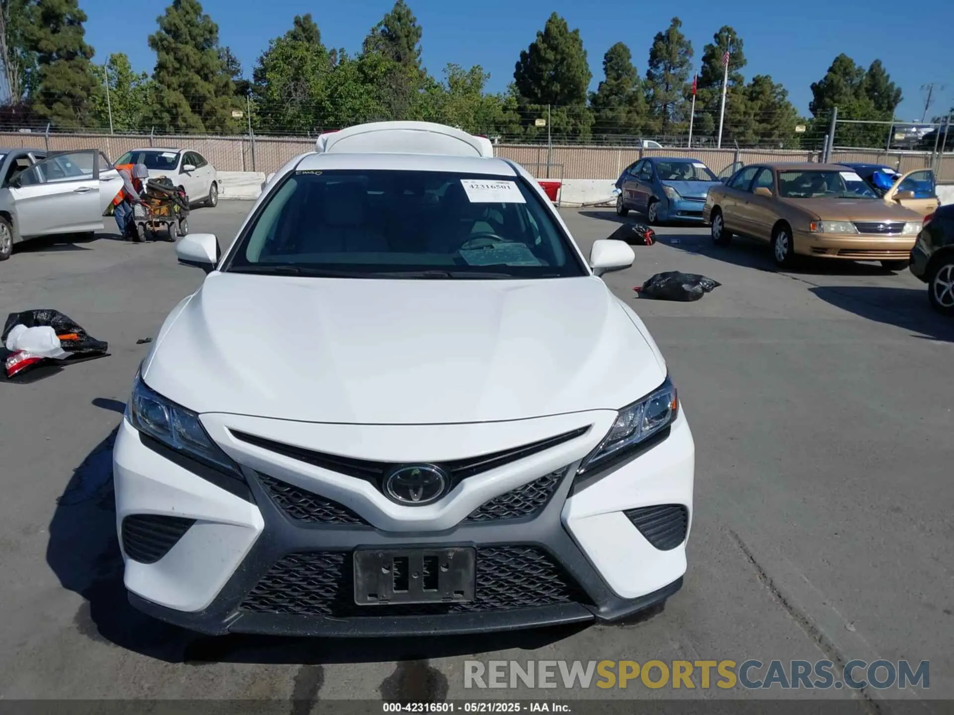 12 Photograph of a damaged car 4T1B11HK2KU732428 TOYOTA CAMRY 2019