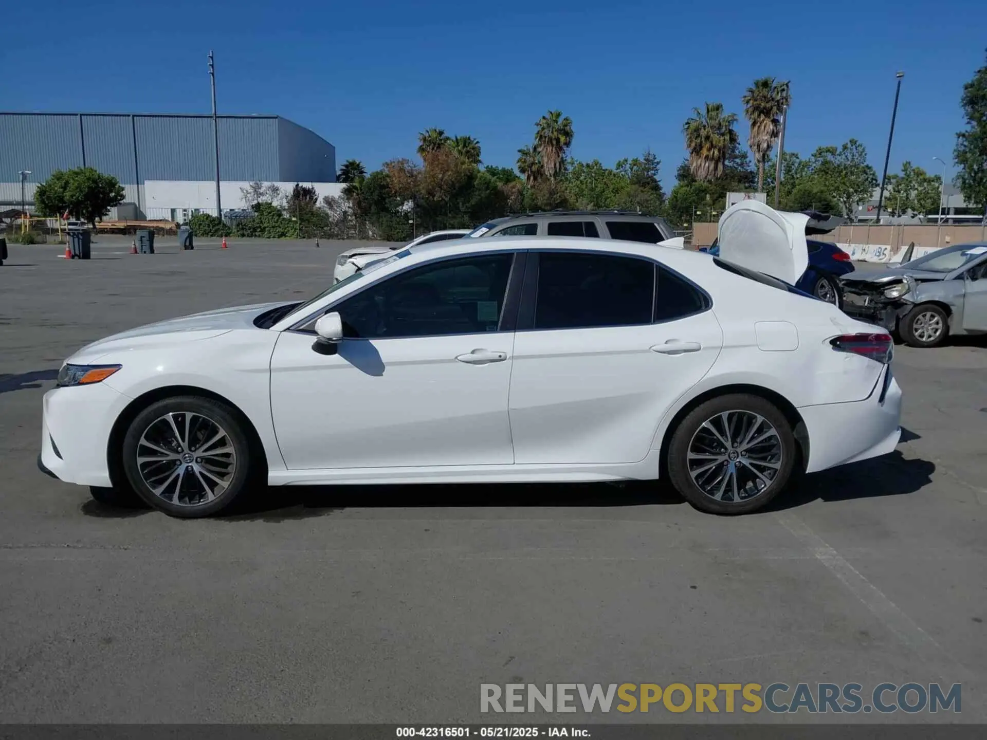 14 Photograph of a damaged car 4T1B11HK2KU732428 TOYOTA CAMRY 2019