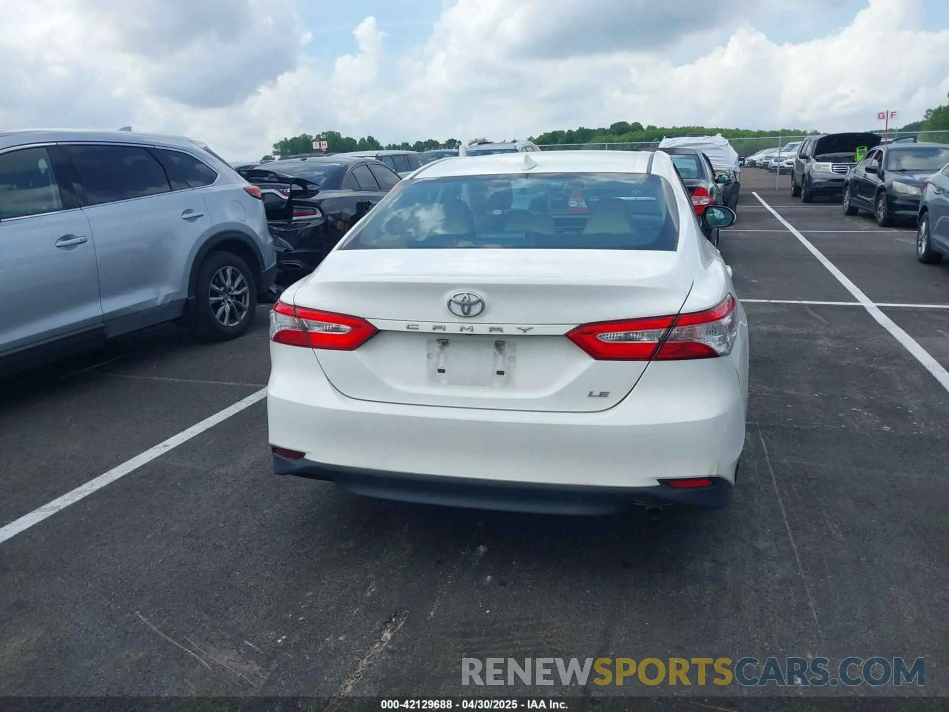 16 Photograph of a damaged car 4T1B11HK2KU743445 TOYOTA CAMRY 2019