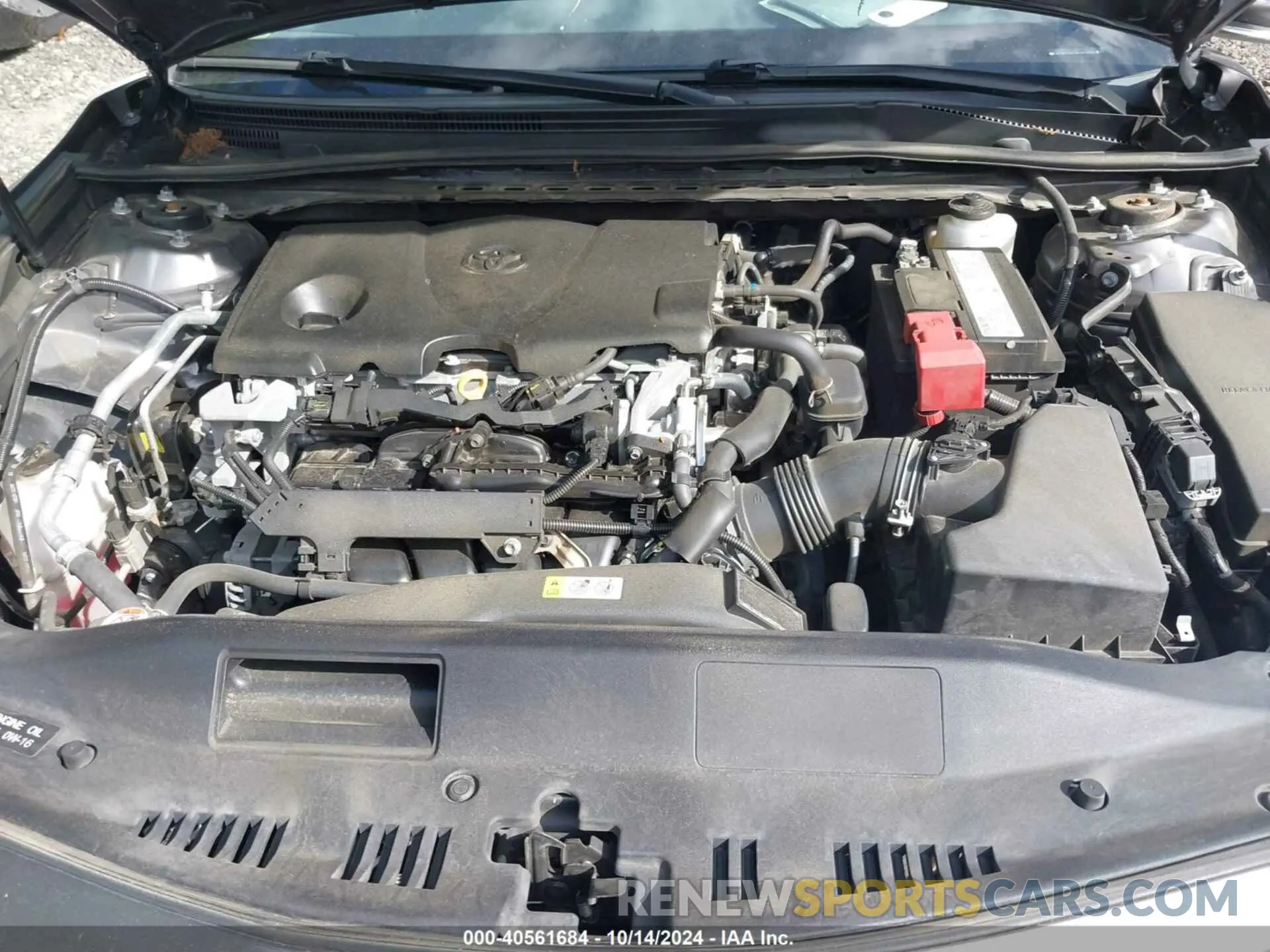 10 Photograph of a damaged car 4T1B11HK2KU823232 TOYOTA CAMRY 2019