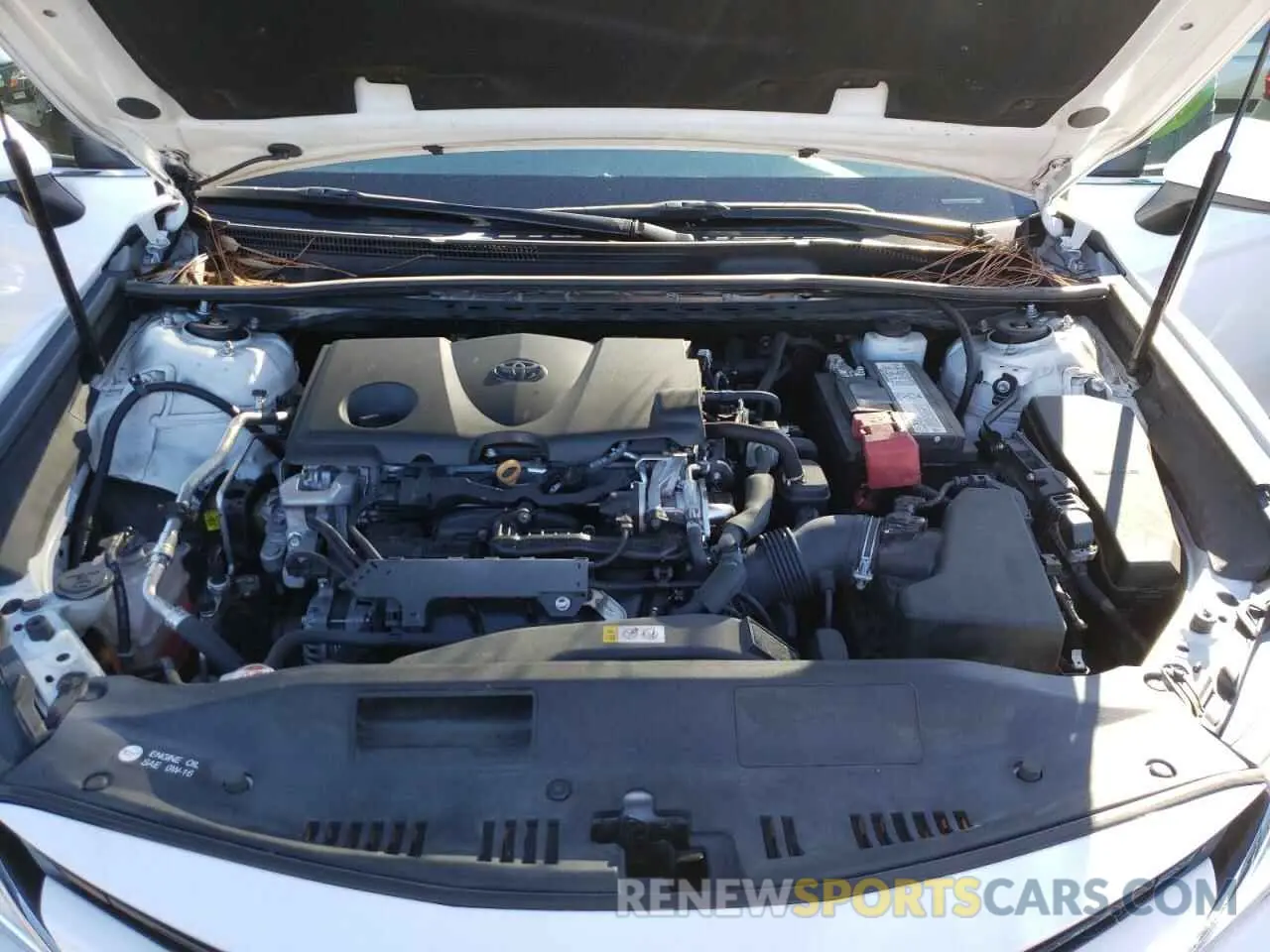 7 Photograph of a damaged car 4T1B11HK2KU832612 TOYOTA CAMRY 2019
