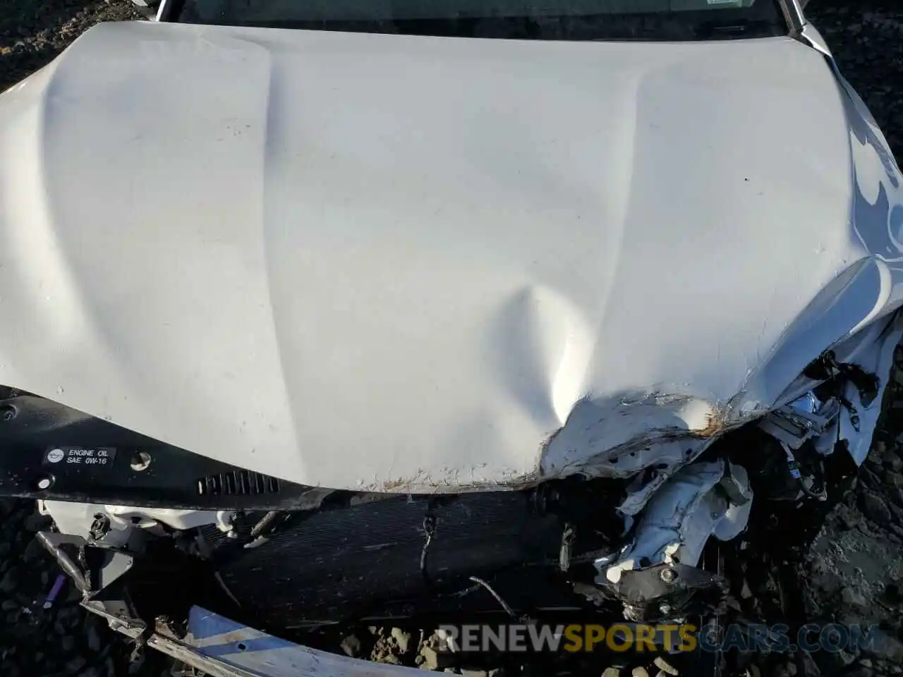 11 Photograph of a damaged car 4T1B11HK2KU840077 TOYOTA CAMRY 2019